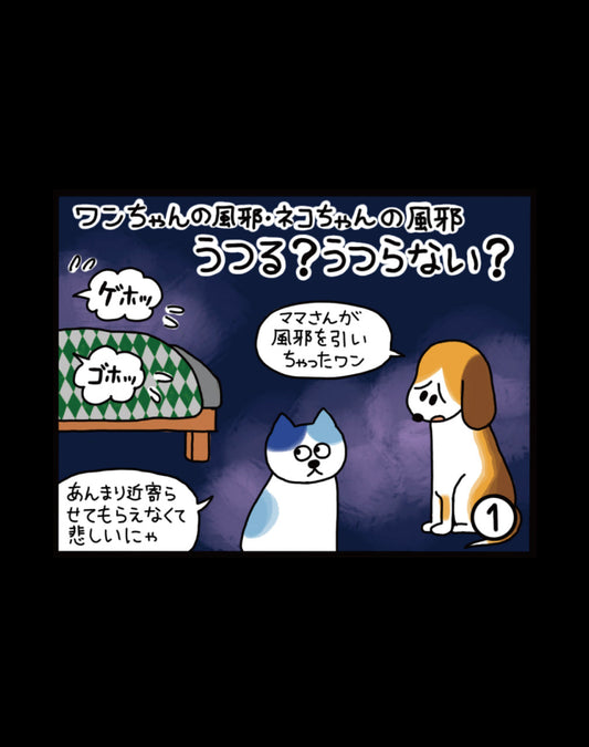 ワンちゃんの風邪・ネコちゃんの風邪 うつる?うつらない?