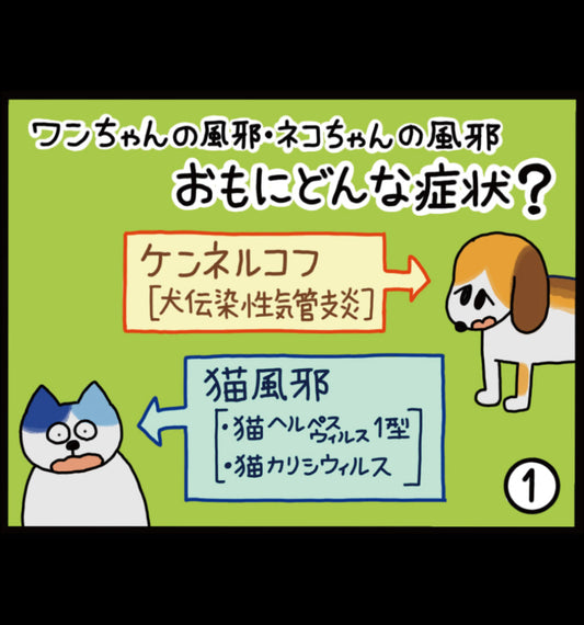 ワンちゃんの風邪・ネコちゃんの風邪 おもにどんな症状?