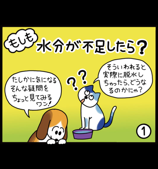 もしも水分が不足したら?