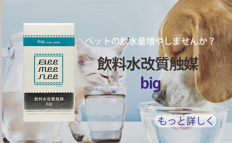 飲料水改質触媒 big – beemeenee