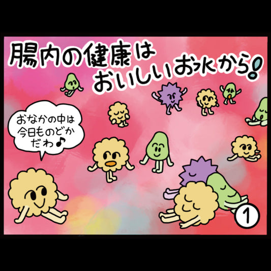 腸内の健康はおいしいお水から！