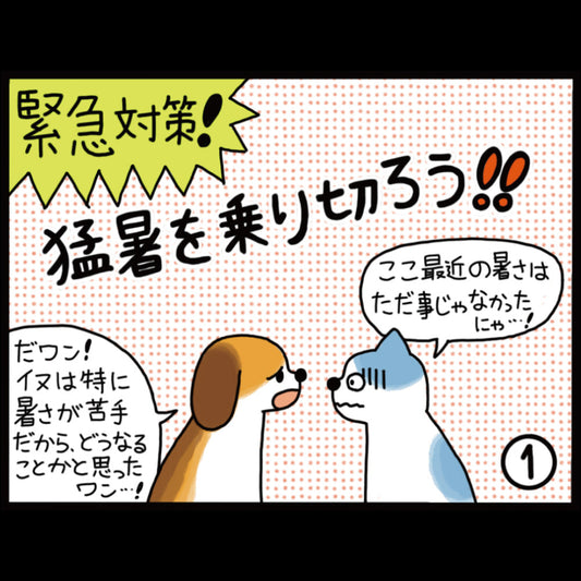 猛暑を乗り切ろう！