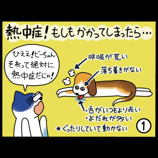熱中症！もしもかかってしまったら・・・