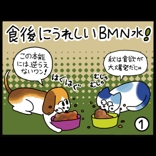食後にうれしいビーミーニー水！