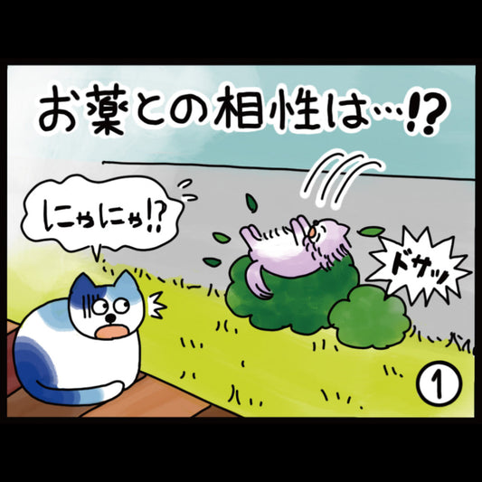 お薬との相性は・・・！？