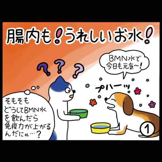 腸内もうれしいお水！