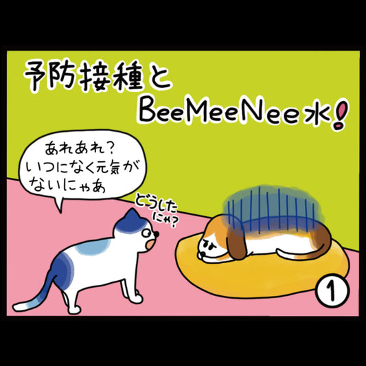 予防接種とビーミーニー水！
