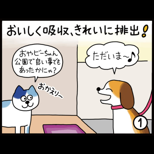 おいしく吸収、きれいに排出！