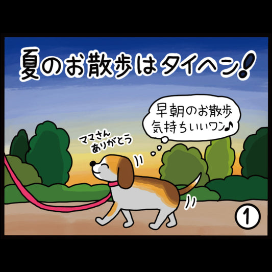 夏のお散歩はタイヘン！