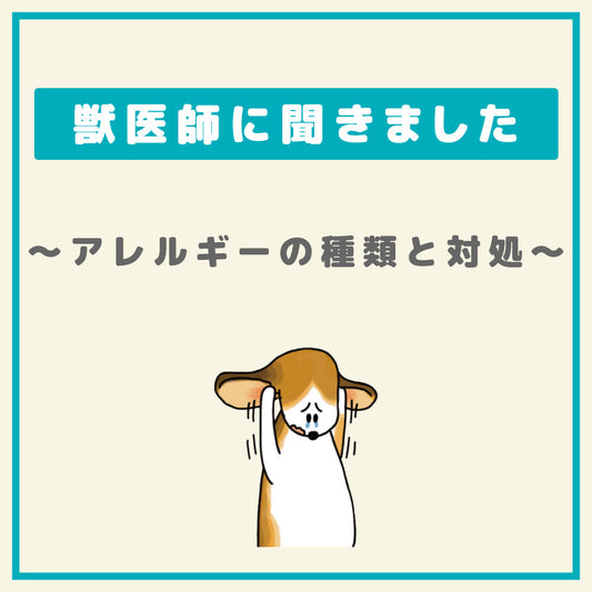 ワンちゃんを悩ませるアレルギー