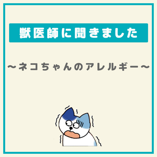 愛猫のアレルギー 把握している？ 〜ネコちゃんに起こりやすいアレルギー〜