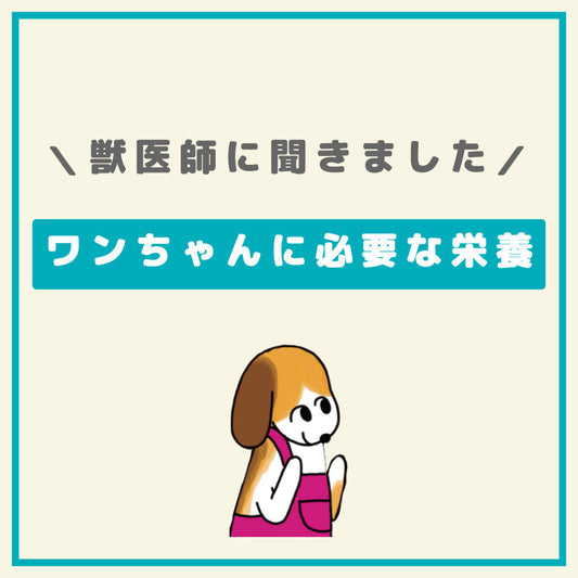 ワンちゃんに必要な栄養素