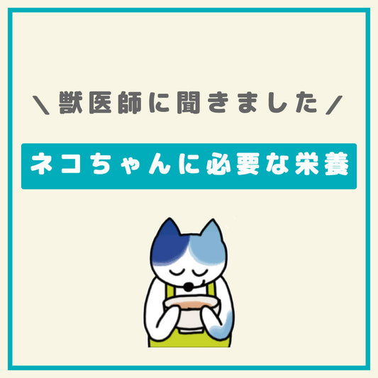 ネコちゃんに必要な栄養素