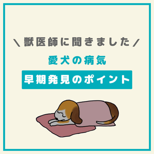 ワンちゃんの病気 ~早期発見のポイント~