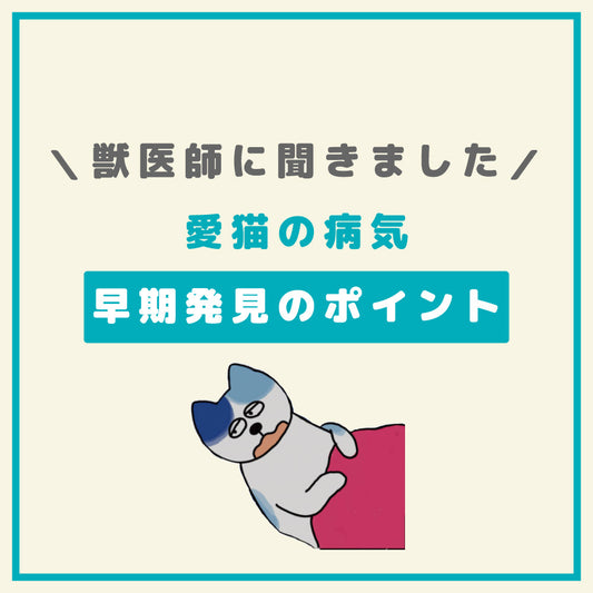 ネコちゃんの病気〜早期発見のポイント〜