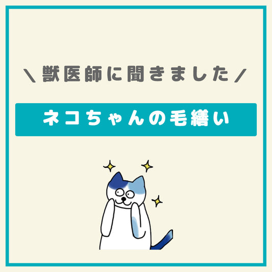 猫ちゃんの毛繕い 〜毛を吐くけど大丈夫？〜