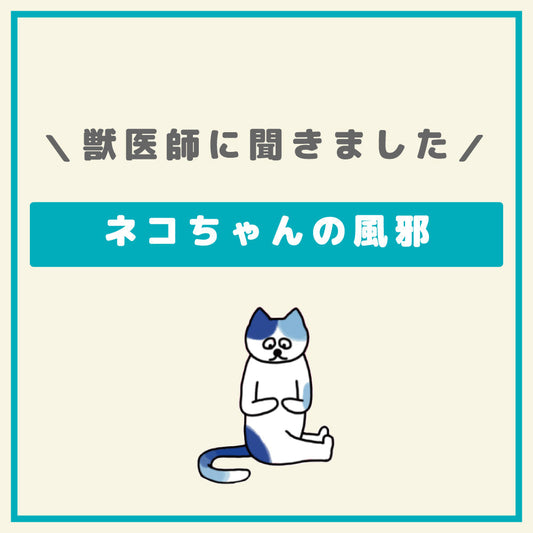 ネコちゃんも風邪をひくの？