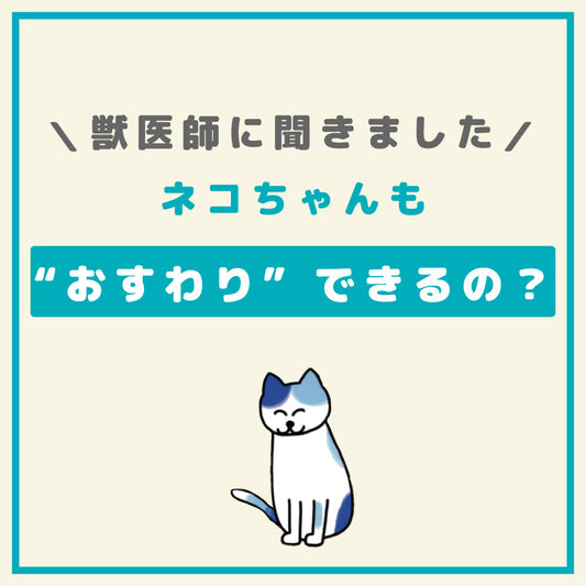 ネコちゃんも"おすわり"できるの？