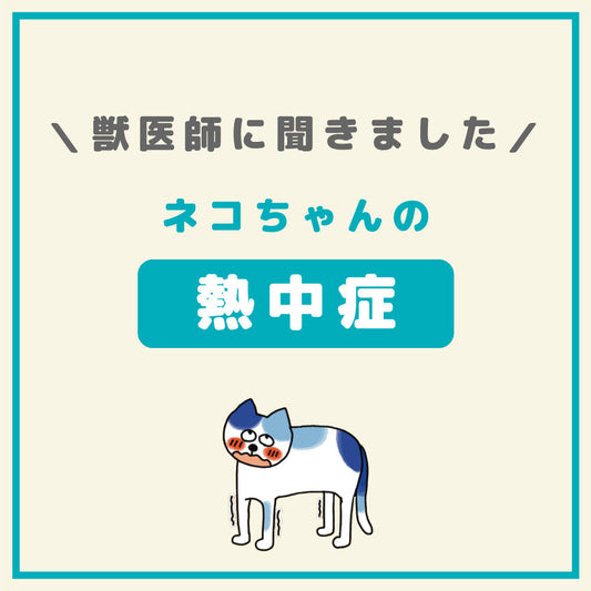 ネコちゃんの熱中症