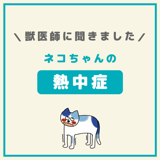 ネコちゃんも熱中症には要注意！