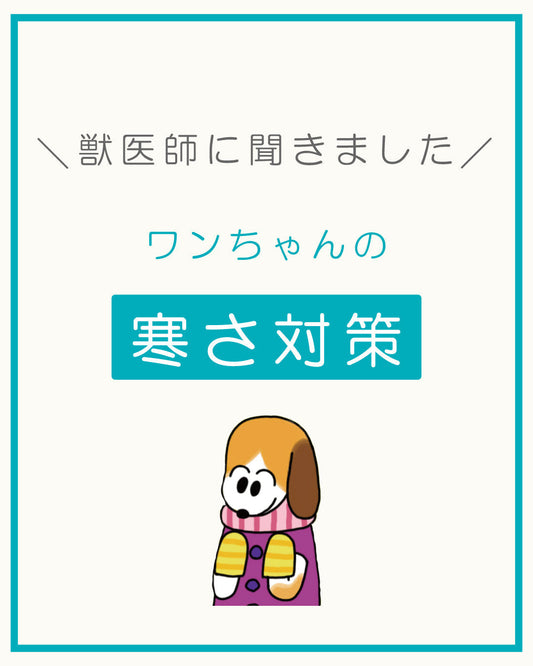 ワンちゃんの寒さ対策  ~寒い冬を快適に過ごすために知っておきたいこと~