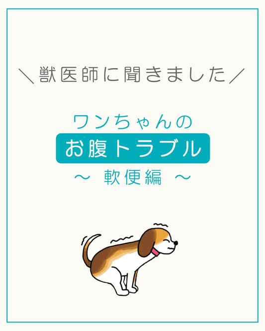 ワンちゃんのお腹トラブル 〜柔らかウンチ（軟便）編〜
