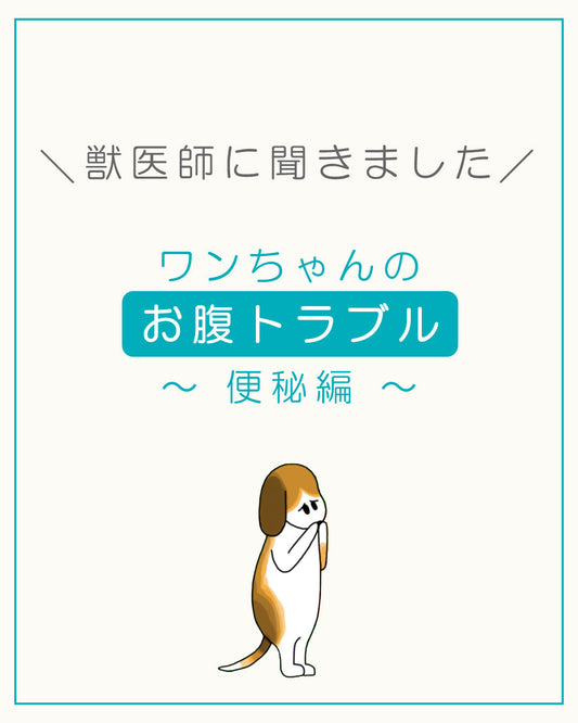 ワンちゃんのお腹トラブル 〜便秘編〜