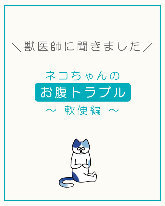 ネコちゃんのお腹トラブル 〜軟便編〜