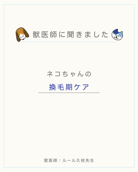 ネコちゃんの換毛期ケア