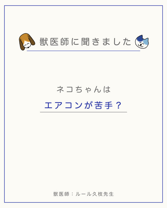 【ネコちゃんはエアコンが苦手？】 エアコン使用時の注意点