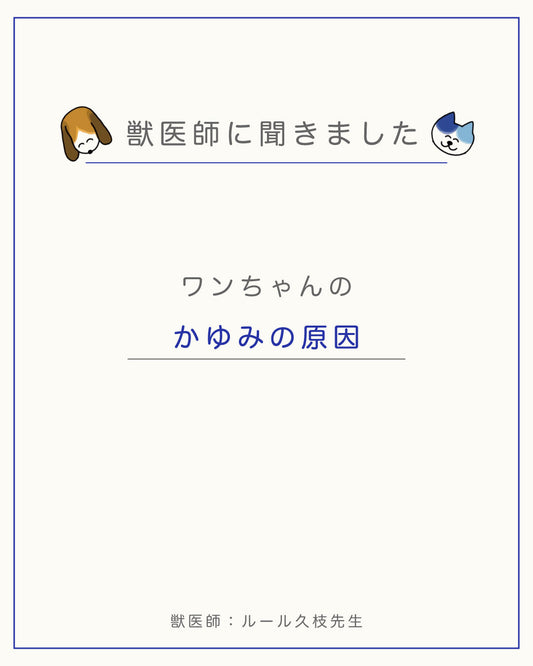 【ワンちゃんのかゆみ】原因や対策
