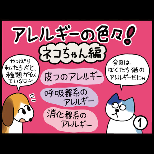 アレルギーの色々！ネコちゃん編