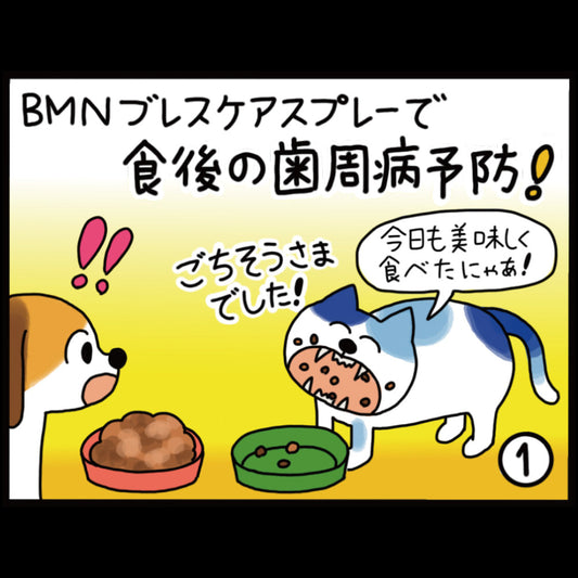 ビーミーニー ブレスケアスプレーで食後の歯周病予防！