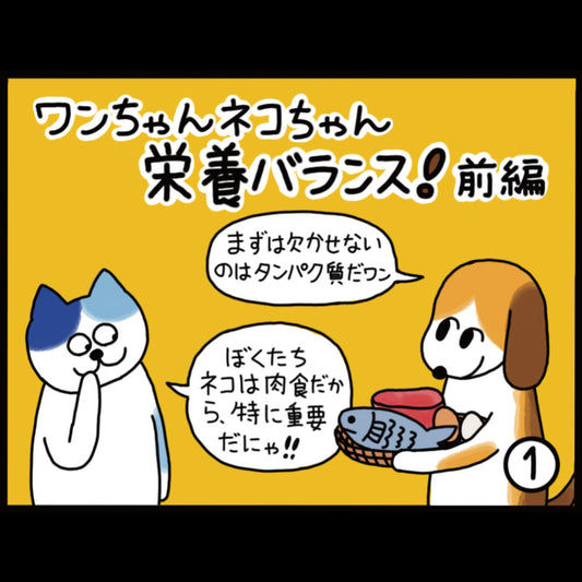 ワンちゃん ネコちゃん 栄養バランス！ 前編