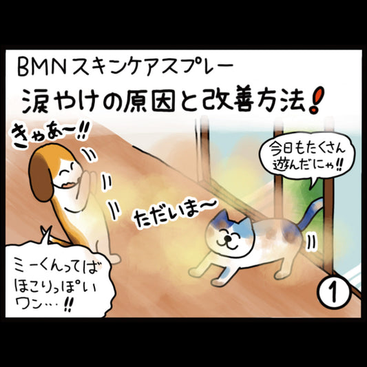 ビーミーニー スキンケアスプレー 涙やけの原因と改善方法！