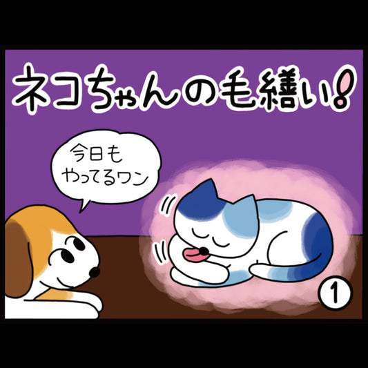 ネコちゃんの毛繕い！