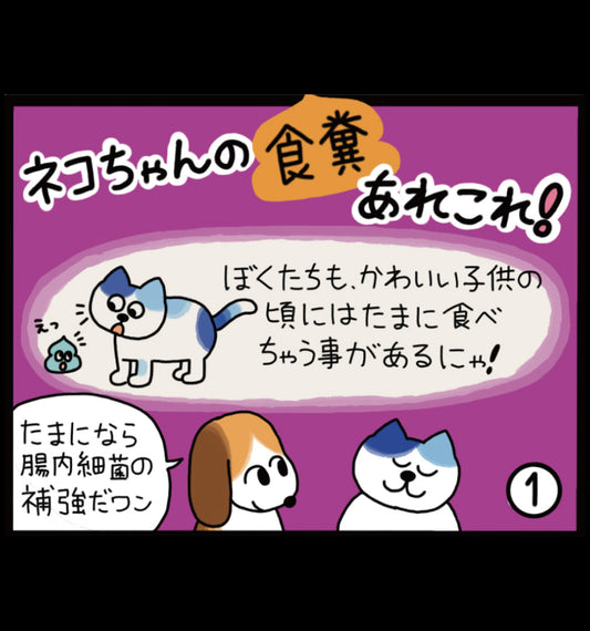 ネコちゃんの食糞あれこれ！