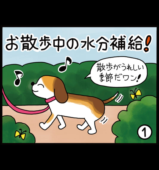 お散歩中の水分補給！
