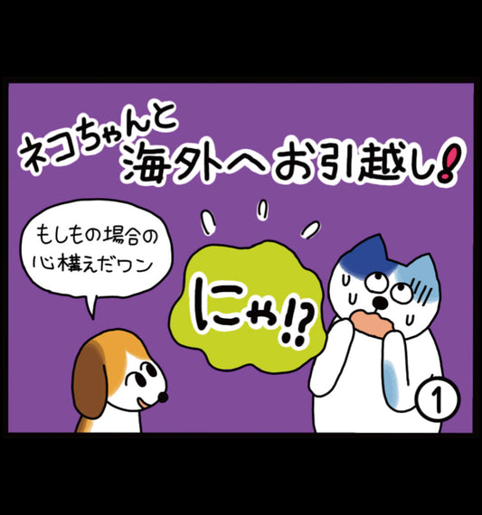 ネコちゃんと海外へお引越し！