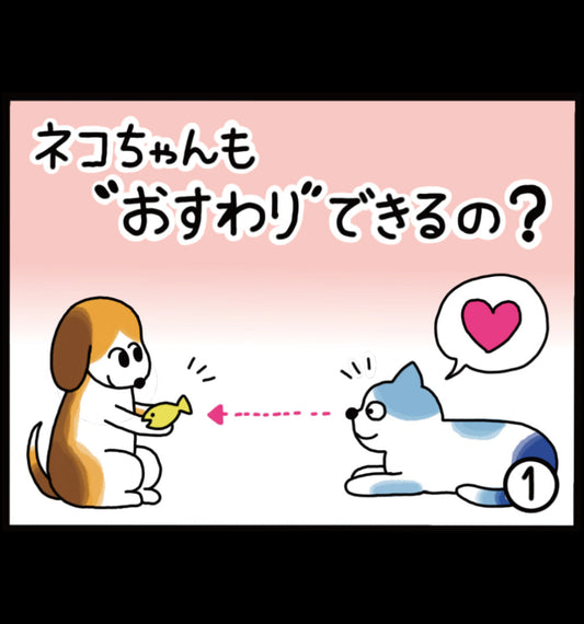 ネコちゃんも"おすわり"できるの？