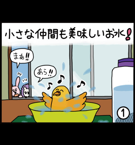小さな仲間も美味しいお水！
