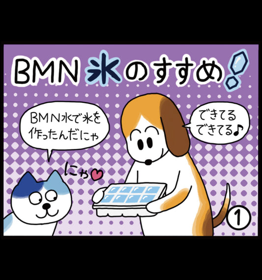 ビーミーニー 氷のすすめ！