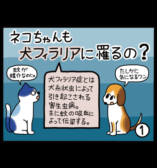 ネコちゃんも犬フィラリアに罹るの？