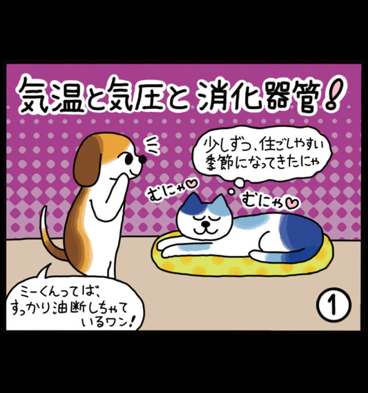 気温と気圧と消化器官！