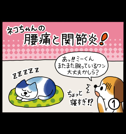 ネコちゃんの腰痛と関節炎！