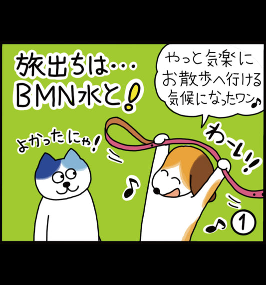 旅立ちはビーミーニー水と！