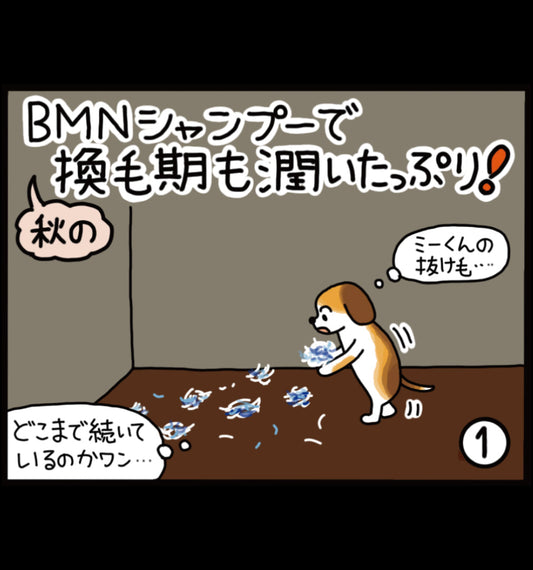 ビーミーニー シャンプーで秋の換毛期も潤いたっぷり！