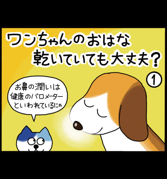 ワンちゃんのお鼻 乾いていても大丈夫？