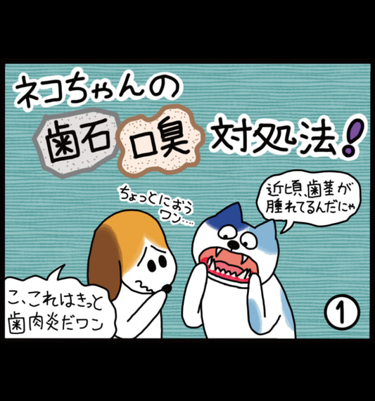 ネコちゃんの歯石 口臭 対処法！
