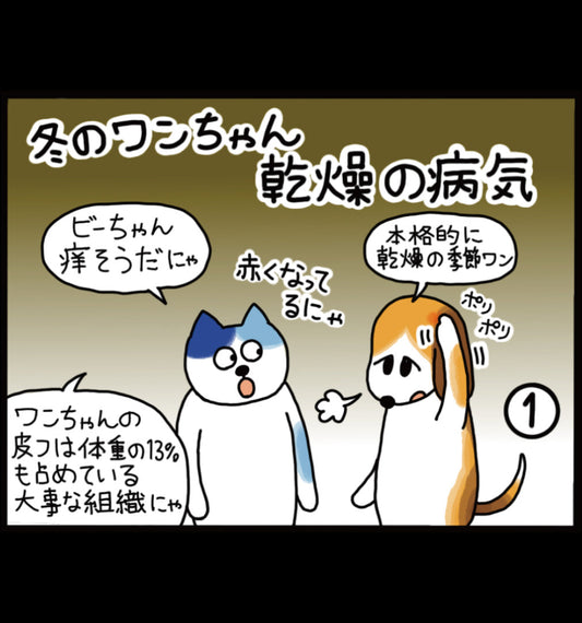 冬のワンちゃん 乾燥の病気